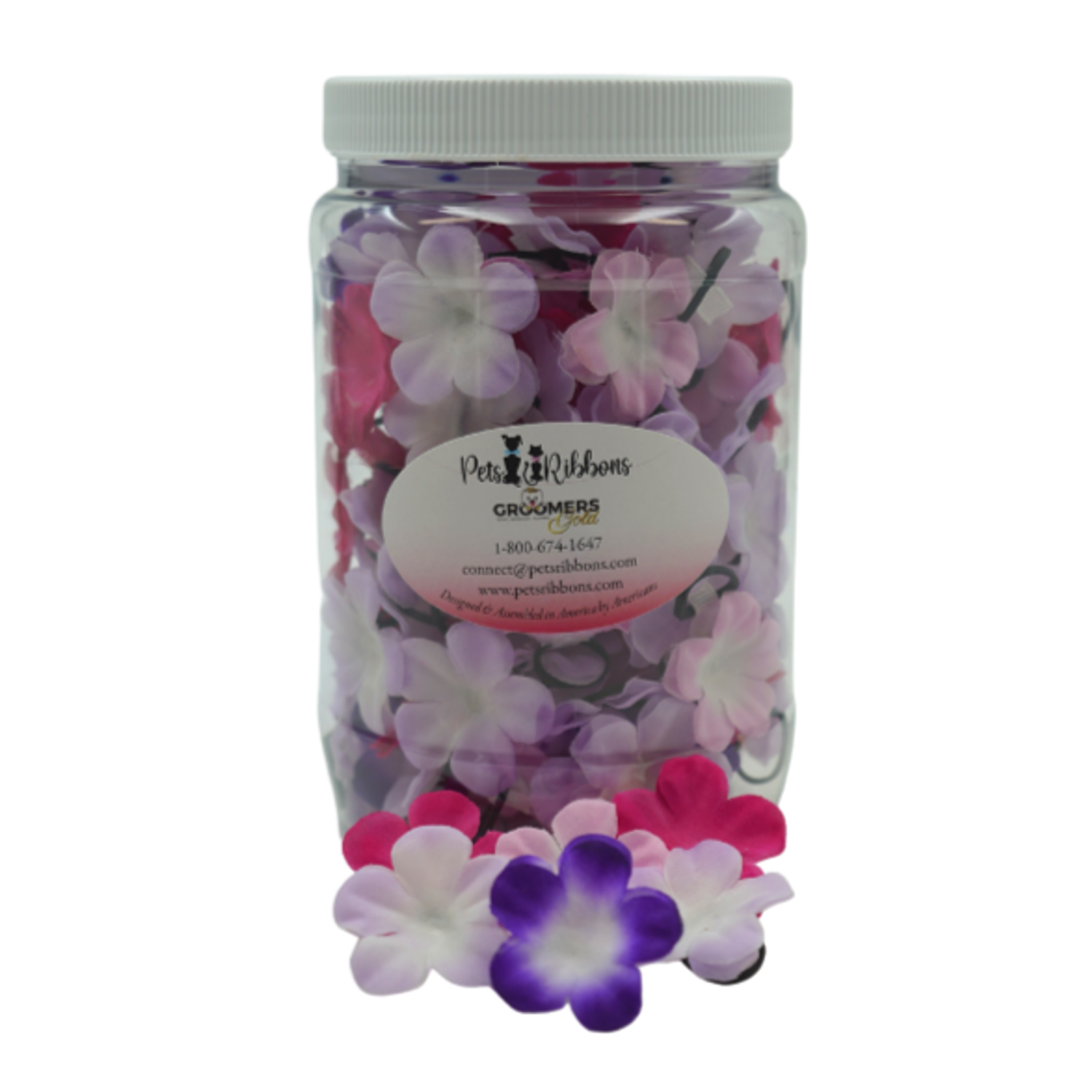 Stylish Cali Tee for Stylish Pets