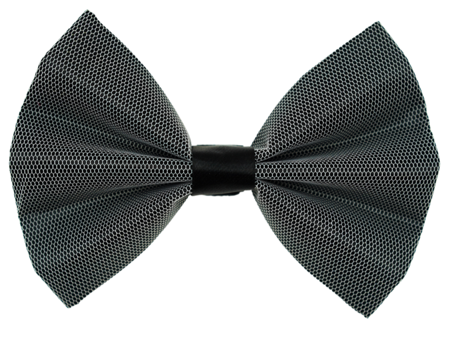 Enhance Your Pet’s Kidney Health with a Meal Topper