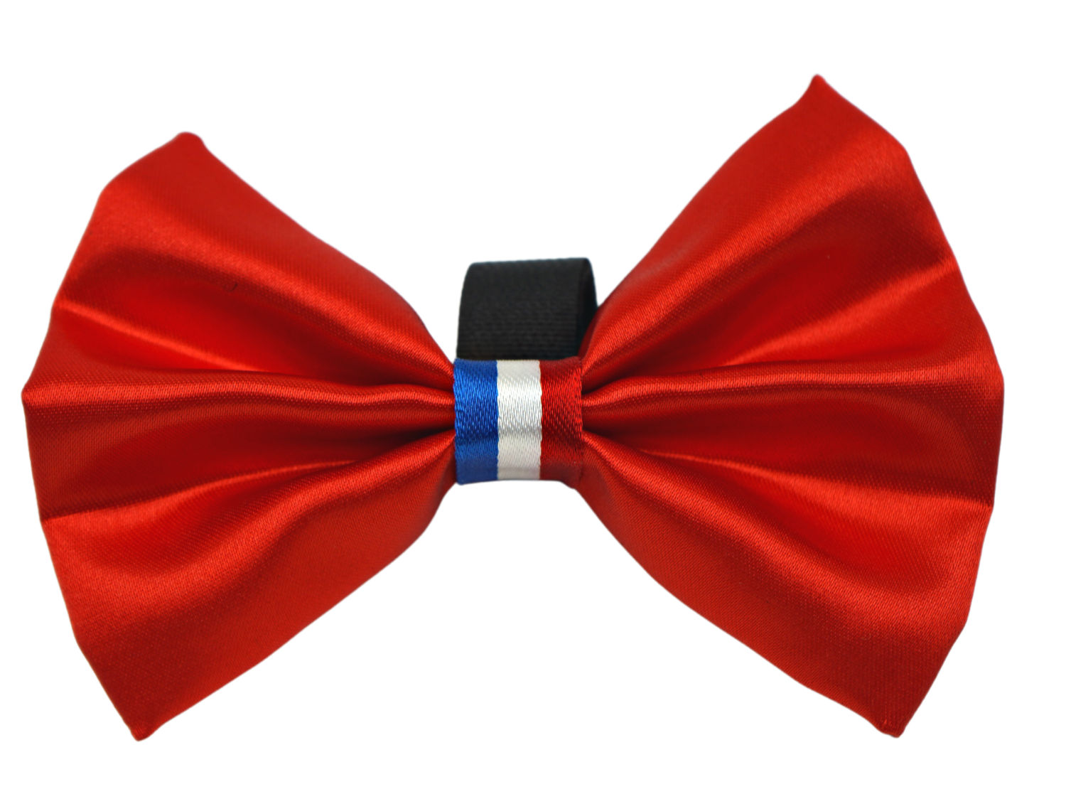 Discover the Stylish PoisePup Dog Harness for Your Pet