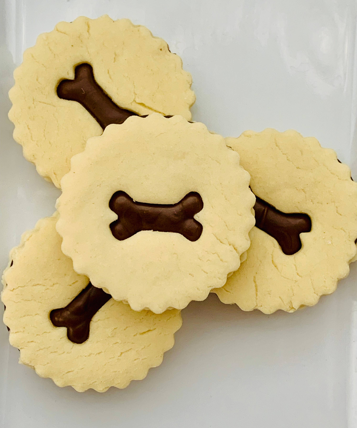 Engage Your Dog with the KONG® Phatz™ Pig Chew Toy