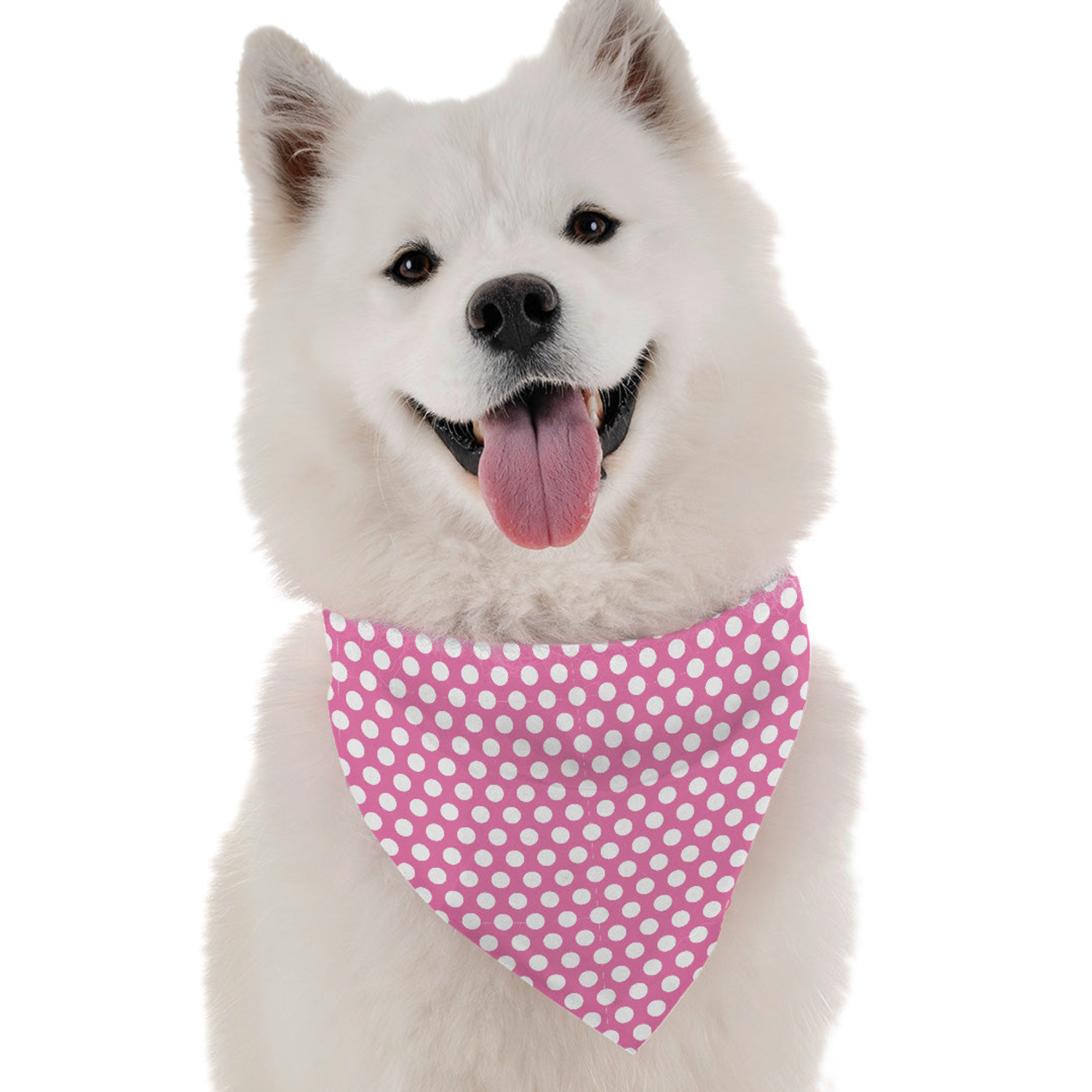 Dress Your Dog in Style with Bandoggies Amari