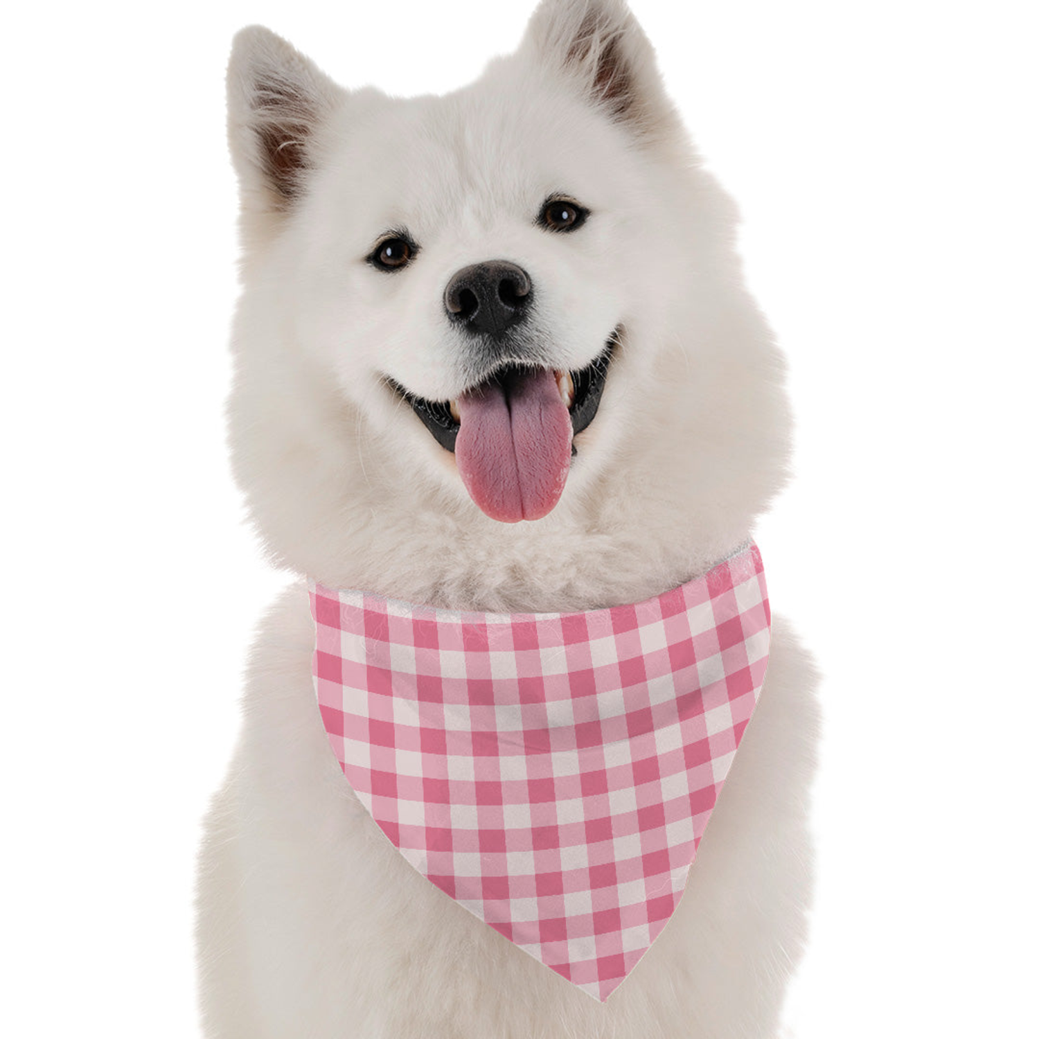 Celebrate Valentine’s Day with Stylish Dog Apparel